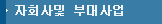 자회사및 부대사업